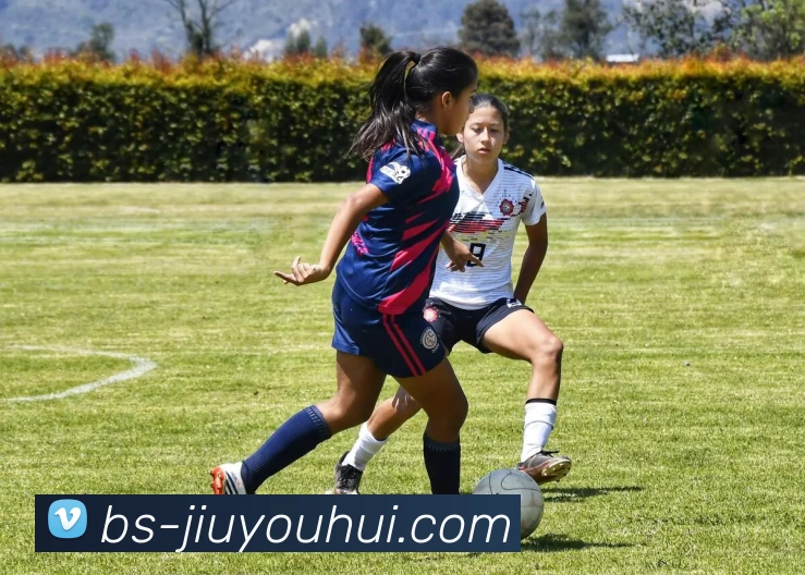 九游会J9官网发展历程